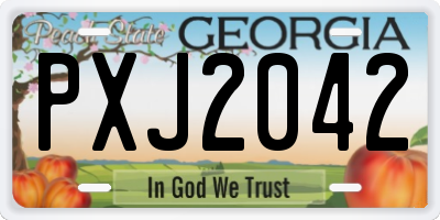GA license plate PXJ2042