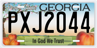 GA license plate PXJ2044