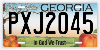 GA license plate PXJ2045