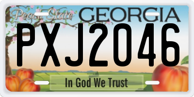 GA license plate PXJ2046