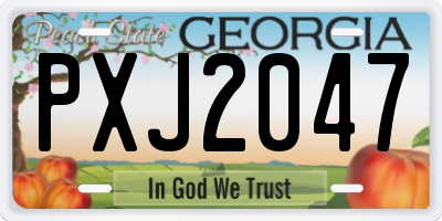 GA license plate PXJ2047