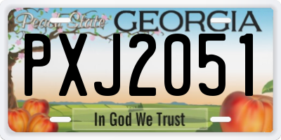 GA license plate PXJ2051