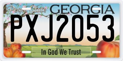 GA license plate PXJ2053
