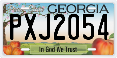 GA license plate PXJ2054