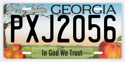 GA license plate PXJ2056