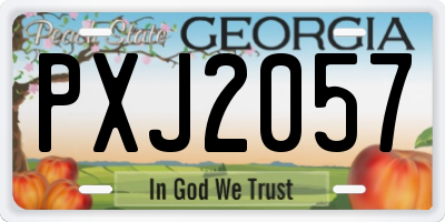 GA license plate PXJ2057