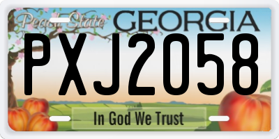 GA license plate PXJ2058