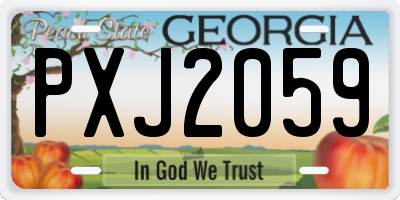 GA license plate PXJ2059