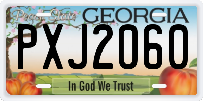 GA license plate PXJ2060
