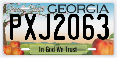 GA license plate PXJ2063