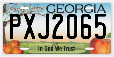 GA license plate PXJ2065