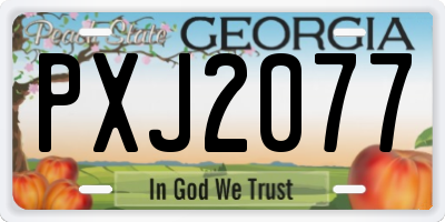 GA license plate PXJ2077
