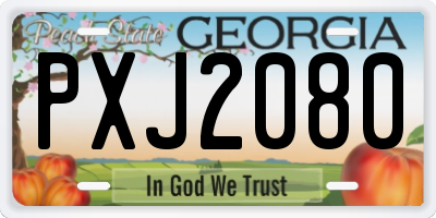 GA license plate PXJ2080