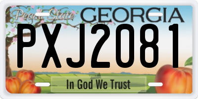 GA license plate PXJ2081