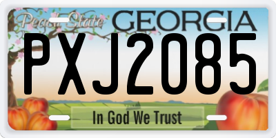GA license plate PXJ2085