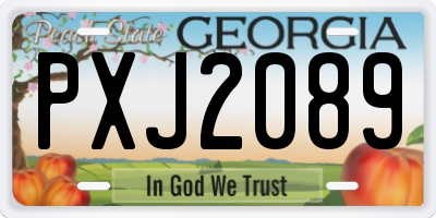 GA license plate PXJ2089