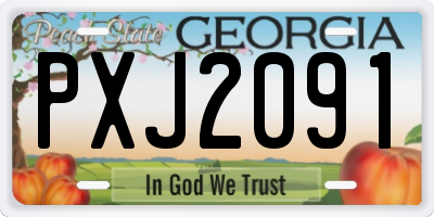 GA license plate PXJ2091
