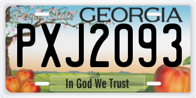 GA license plate PXJ2093