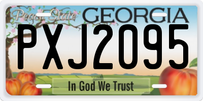 GA license plate PXJ2095