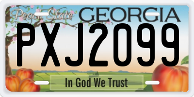 GA license plate PXJ2099