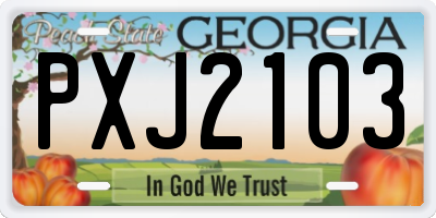 GA license plate PXJ2103