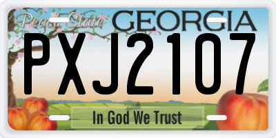 GA license plate PXJ2107