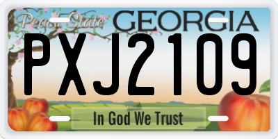 GA license plate PXJ2109