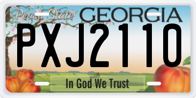 GA license plate PXJ2110