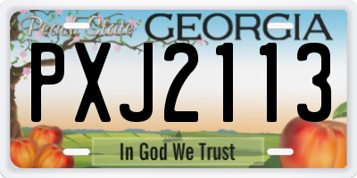 GA license plate PXJ2113