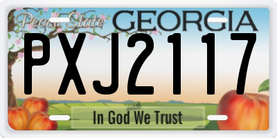 GA license plate PXJ2117