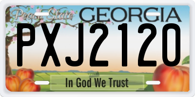 GA license plate PXJ2120