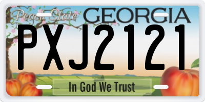 GA license plate PXJ2121