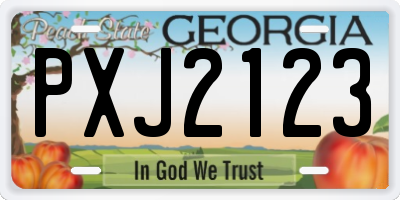 GA license plate PXJ2123