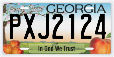 GA license plate PXJ2124