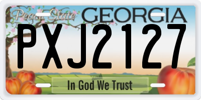 GA license plate PXJ2127