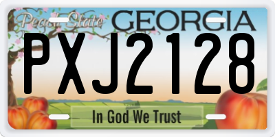 GA license plate PXJ2128
