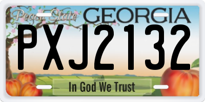 GA license plate PXJ2132