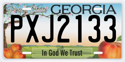 GA license plate PXJ2133