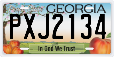 GA license plate PXJ2134