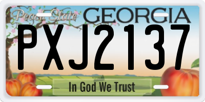 GA license plate PXJ2137