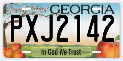 GA license plate PXJ2142
