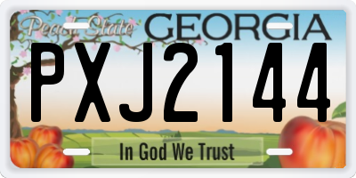 GA license plate PXJ2144