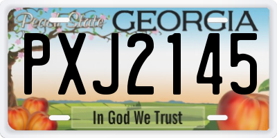 GA license plate PXJ2145