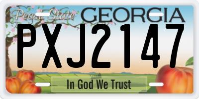 GA license plate PXJ2147
