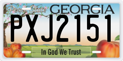GA license plate PXJ2151