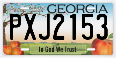 GA license plate PXJ2153