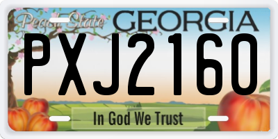 GA license plate PXJ2160