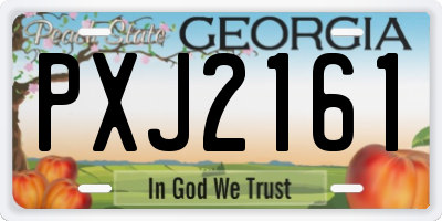 GA license plate PXJ2161