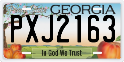 GA license plate PXJ2163