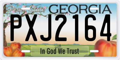 GA license plate PXJ2164